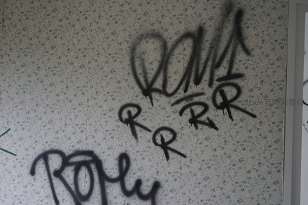 涂鸦覆盖的花墙，街头艺术与破败美学