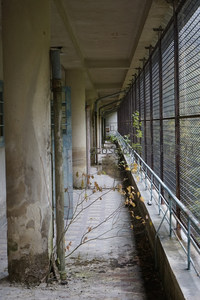 荒废走廊，铁网与枯枝诉说时光流逝