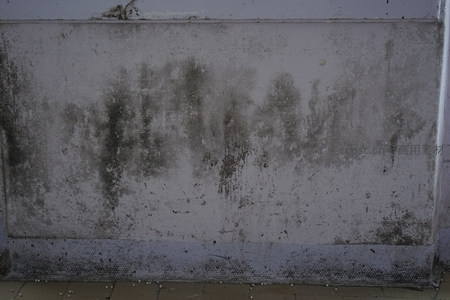 墙体霉斑与污渍覆盖的墙面