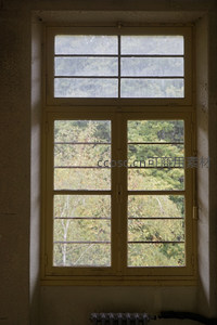 窗框内绿意盎然的森林风景