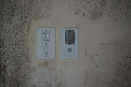 布满霉点的开关与灯座