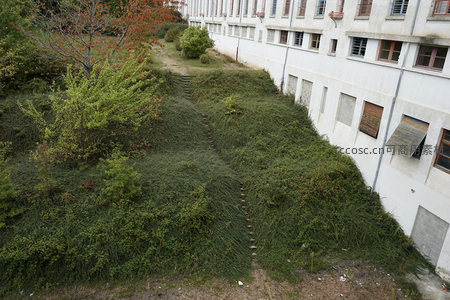 荒芜山坡小径通向旧楼