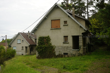 荒废老屋静立林间，绿草丛生显寂寥