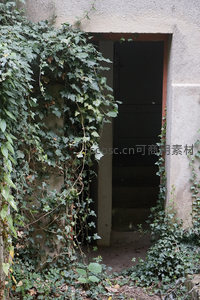 藤蔓缠绕的破败门廊，幽深入口引人遐想