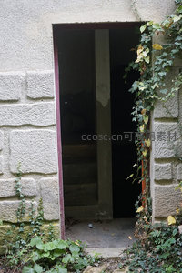 石墙门洞藤蔓垂挂，幽暗深处藏秘密