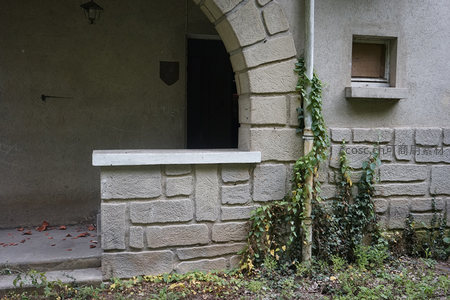 石墙拱门旁的藤蔓绿意