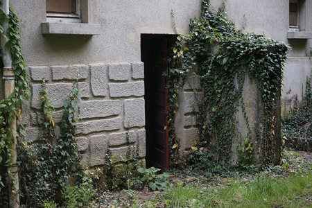 紫门隐于藤蔓覆盖的墙角