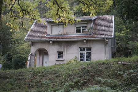 森林环抱中孤寂的老式小屋