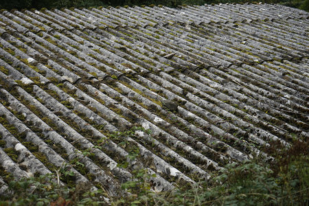 青苔覆盖的瓦片屋顶，岁月痕迹斑驳