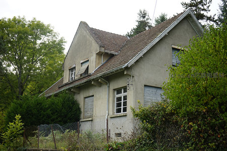 绿树环绕的旧式乡村住宅