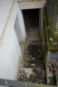 幽深地下室入口，落叶覆盖的阶梯
