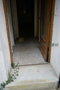 藤蔓攀爬的门廊，通往未知的室内空间