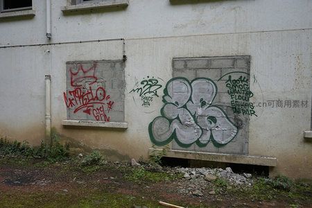 墙角涂鸦与杂草共生景象