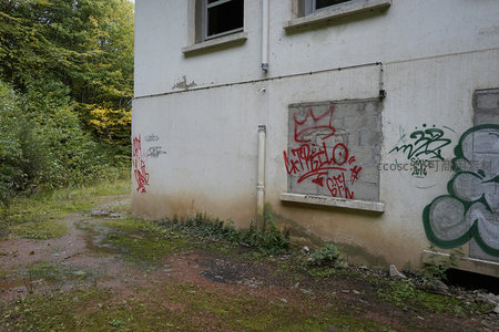 森林边缘废弃建筑一角