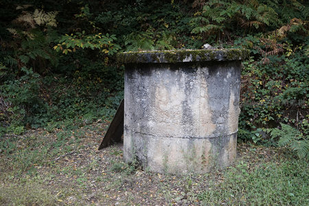 森林中的废弃混凝土圆柱体