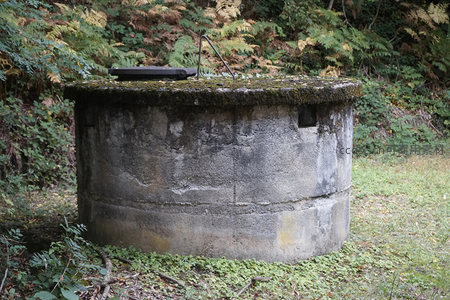 荒野里长满青苔的旧工事