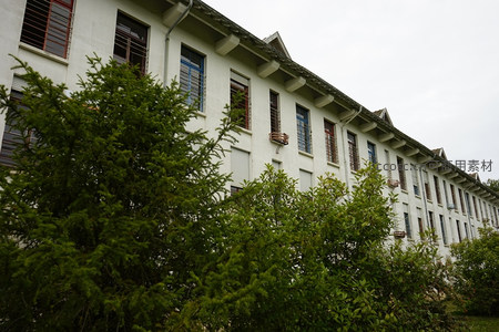 绿树掩映下的长排白色建筑