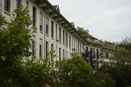 建筑群与绿植交织的斜角视角