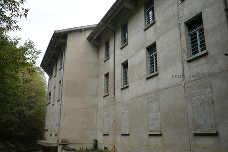 废弃厂房外墙与绿树相映