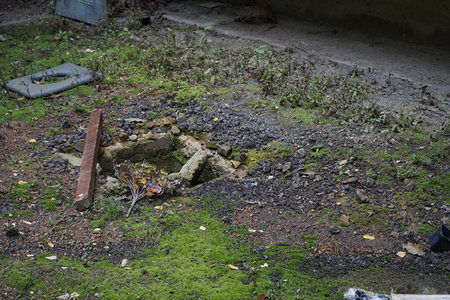 废弃角落的苔藓与碎石
