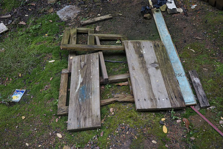 倾倒的木制托盘与青苔