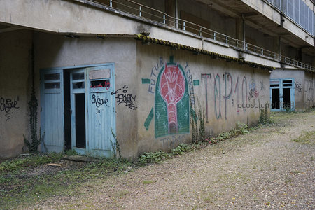 涂鸦覆盖的废弃厂房墙壁与破旧门扉