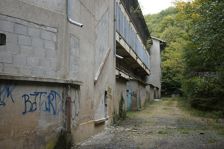 荒废厂区长廊两侧的涂鸦墙与林间小径