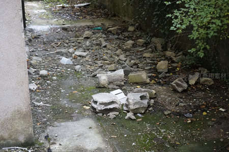 废弃角落的碎石与青苔，诉说着被遗忘的故事