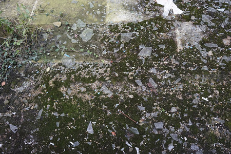 布满碎玻璃和青苔的台阶边缘，荒芜而寂静