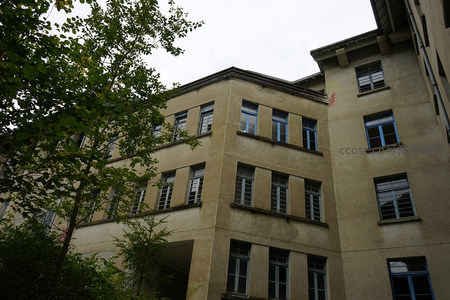 老旧建筑外墙与绿树相映成趣