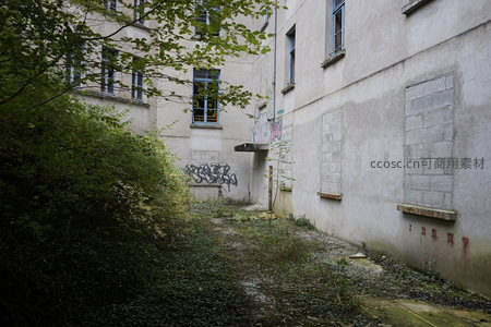 荒芜小径通向废弃建筑深处