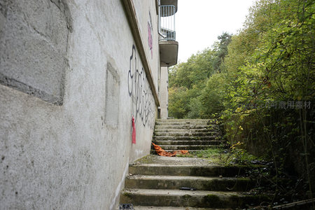 废弃楼梯旁的涂鸦墙与绿植