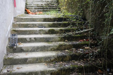 长满青苔的破旧水泥台阶
