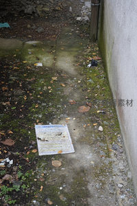 地面上的信息传单与落叶
