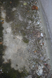 路边的垃圾与苔藓覆盖的地面