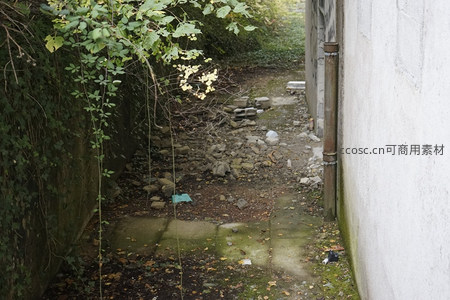 杂草丛生的狭窄巷道