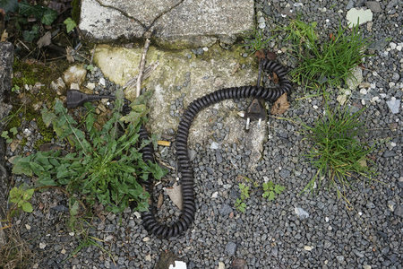 被遗弃的螺旋电线躺在碎石地上