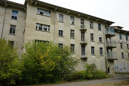 绿树掩映下的老式住宅楼外观