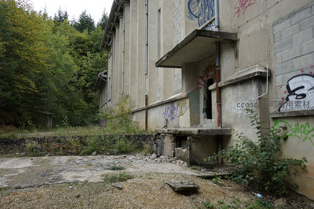 森林边缘的废弃建筑与涂鸦墙