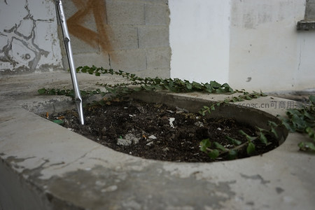 水泥花坛中的绿植与金属杆