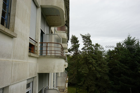 老式公寓阳台，绿树环绕显宁静