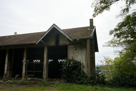 荒废的厂房入口，藤蔓攀爬，屋顶瓦片残缺不全