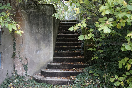 绿树掩映下通往未知的破旧水泥阶梯