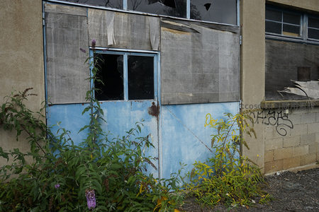 蓝色铁门破损玻璃与墙边野花丛生