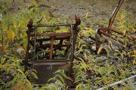 荒草丛中锈蚀的废弃农具残骸