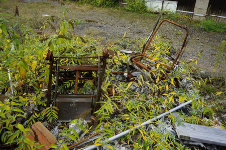 锈蚀金属框架，深陷野草与落叶之中