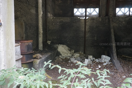 绿植侵入的废弃车间角落与散落碎块