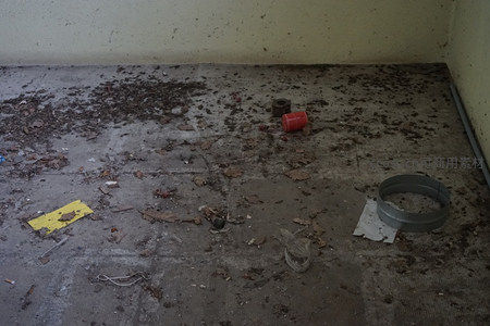 布满落叶与杂物的废弃水泥地面