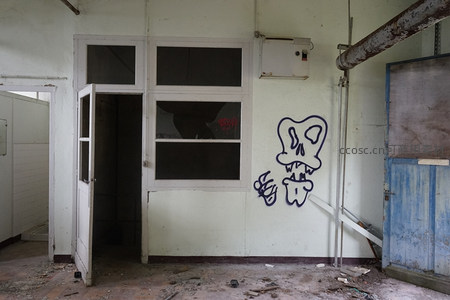 空荡房间中的骷髅涂鸦与门窗