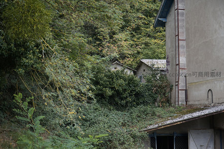 绿植丛生掩映下的废弃厂房外墙一角